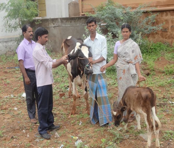 Livestock Support