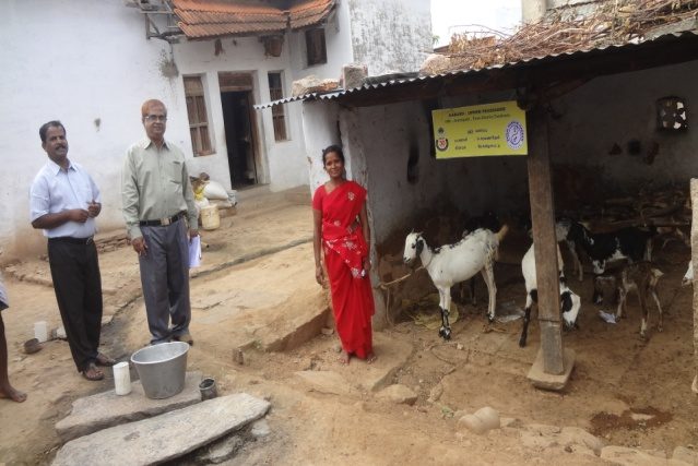 Livestock Support