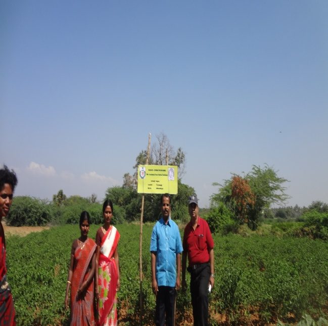 Field Activity
