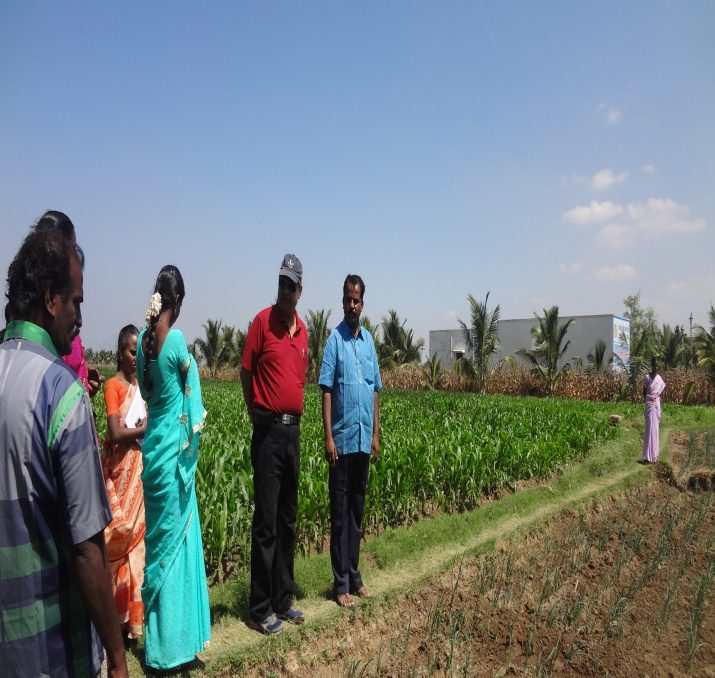 Field Activity
