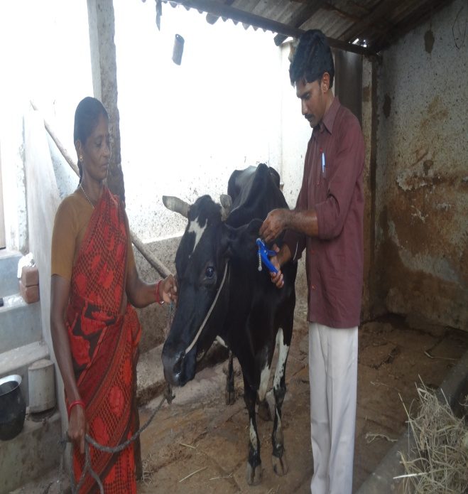 Livestock Support